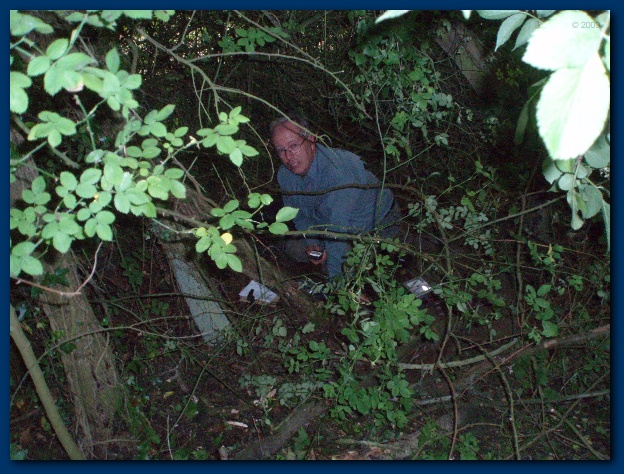 600x449 pixels (178K)